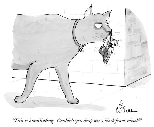 "This is humiliating. Couldn't you drop me a block from school?"