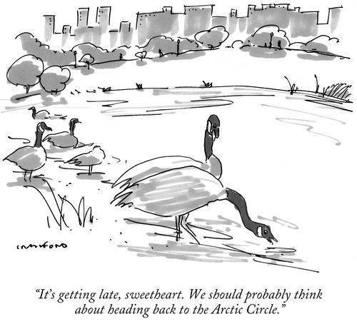 "It's getting late, sweetheart. We should probably think about heading back to the Arctic Circle."