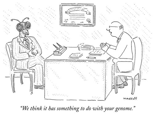 "We think it has something to do with your genome."