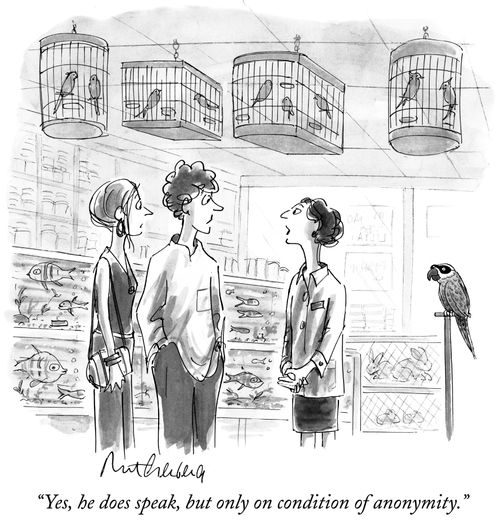 "Yes, he does speak, but only on condition of anonymity."