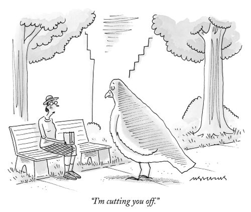 "I'm cutting you off."