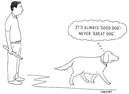 'It's Always 'Good Dog'—Never 'Great Dog.'