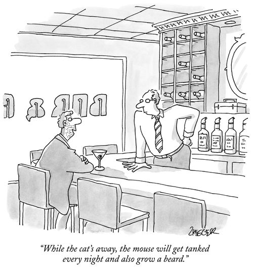 "While the cat's away, the mouse will get tanked every night and also grow a beard."