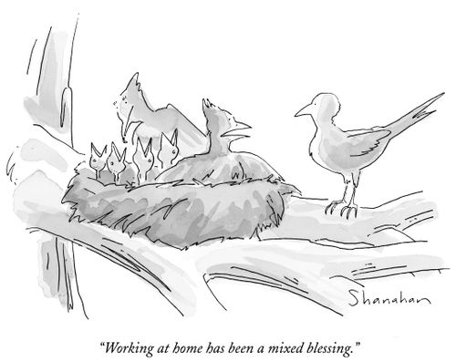 "Working at home has been a mixed blessing."