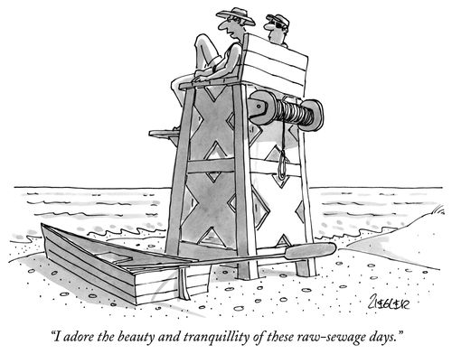 "I adore the beauty and tranquillity of these raw-sewage days."