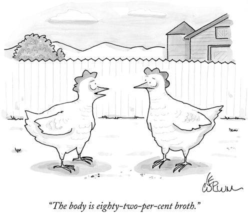 "The body is eighty-two-per-cent broth."