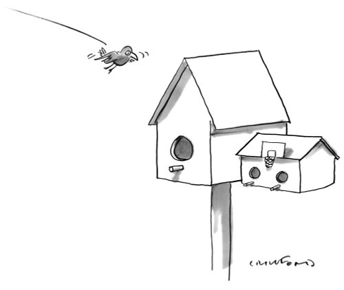 Birdhouse Garage