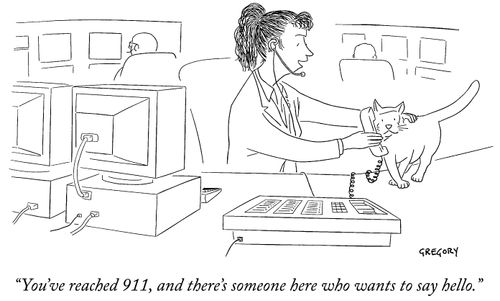 "You've reached 911, and there's someone here who wants to say hello."