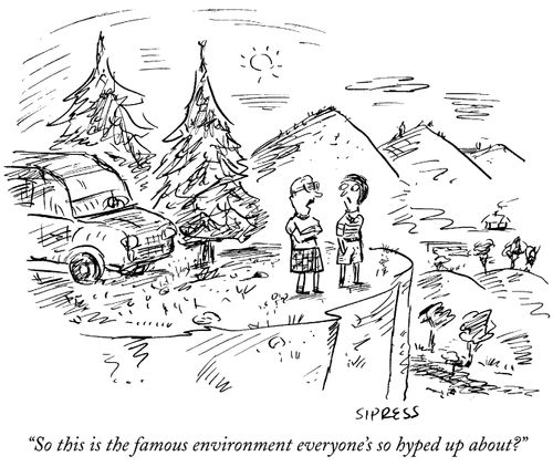 "So this is the famous environment everyone's so hyped up about?"