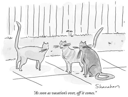 "As soon as vacation's over, off it comes."