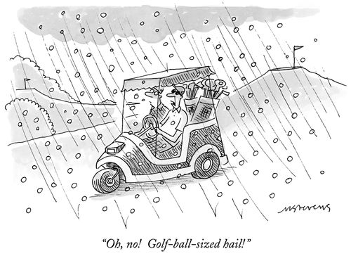 "Oh, no! Gold-ball-sized hail!"