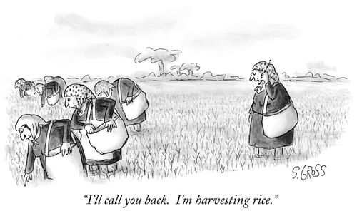 "I'll call you back. I'm harvesting rice."