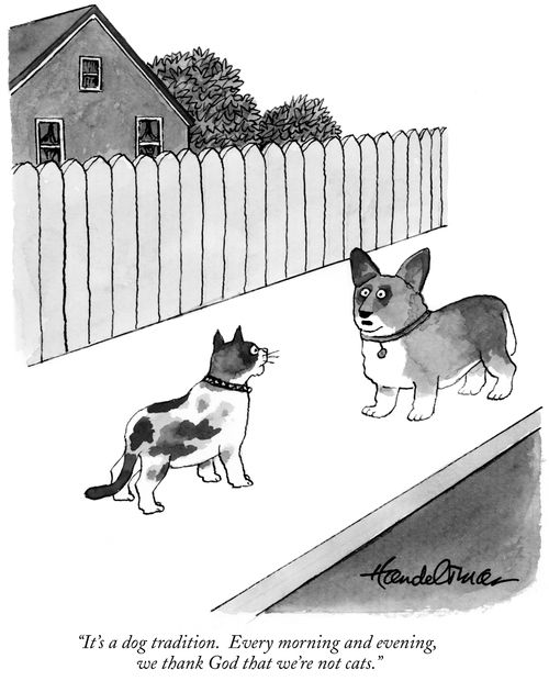 "It's a dog tradition. Every morning and evening, we thank God that we're not cats."