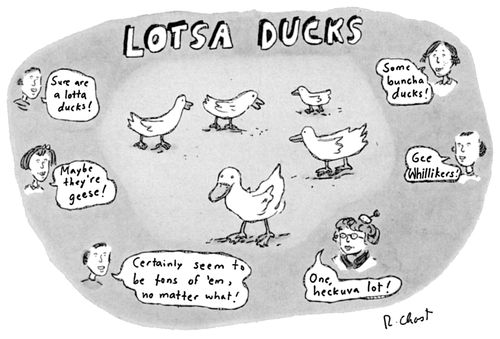 Lotsa Ducks.