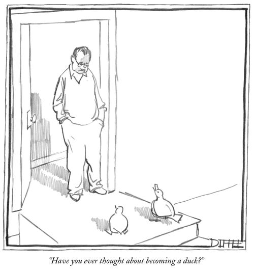 "Have you ever thought about becoming a duck?"
