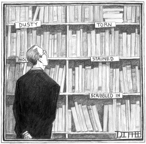 Book Shop Shelf