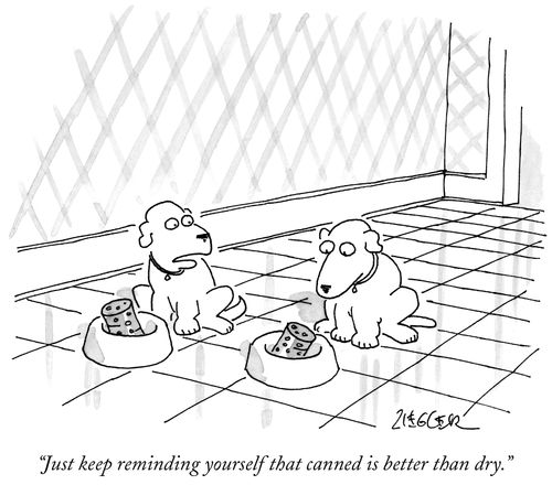 "Just keep reminding yourself that canned is better than dry."