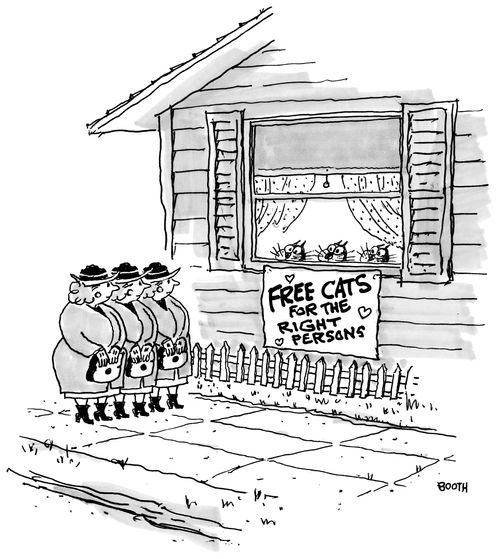 Free cats for the right persons