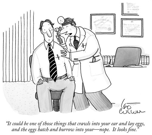"It could be one of those things that crawls into your ear and lay eggs, and the eggs hatch and burrow into your – nope. It looks fine."