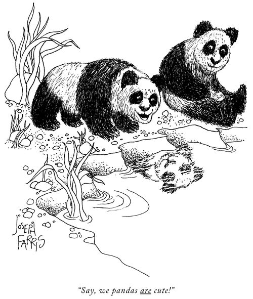 "Say, we pandas are cute!"