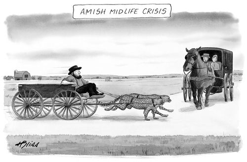 Amish Midlife Crisis