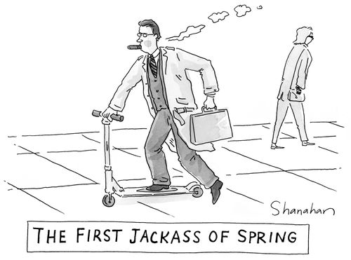 The first jackass of spring