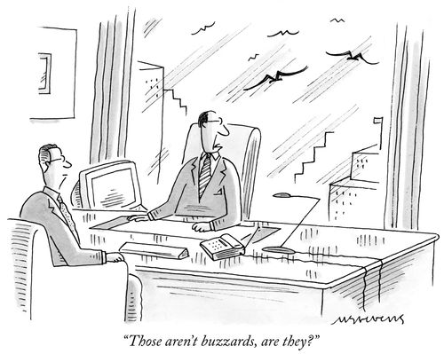 "Those aren't buzzards, are they?"