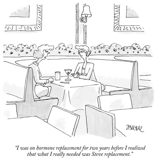 "I was on hormone replacement for two years before I realized I needed Steve replacement."