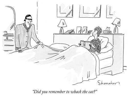 "Did you remember to whack the cat?"