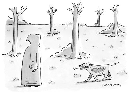 A dog meets death