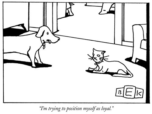 "I'm trying to position myself as loyal."
