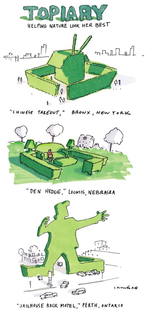 Topiary: helping nature look her best