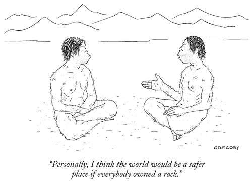 "Personally, I think the world would be a safer place if everybody owned a rock."