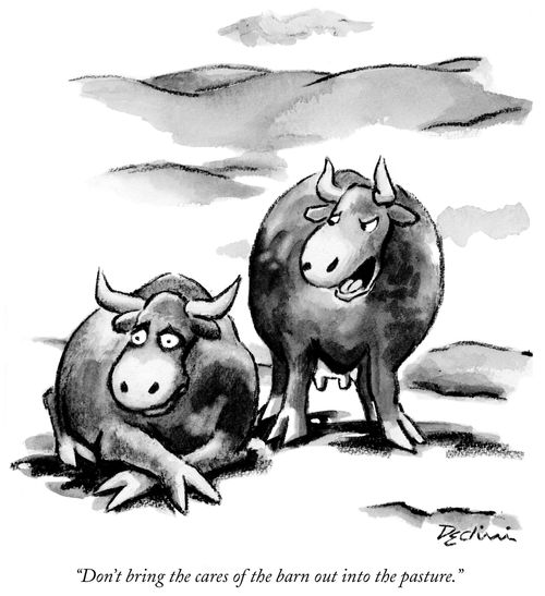 "Don't bring the cares of the barn out into the pasture."