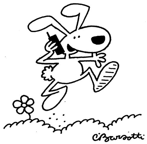Rabbit on a Phone