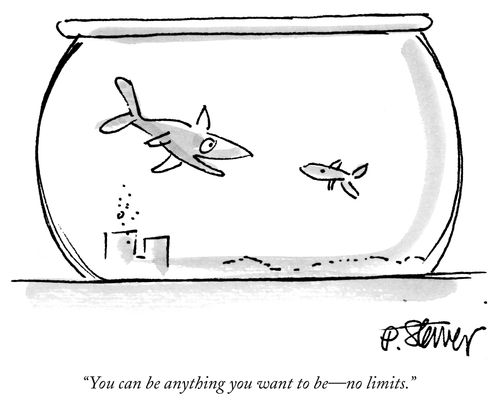"You can be anything you want to be - no limits."