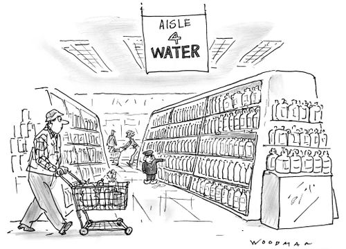Aisle 4 Water