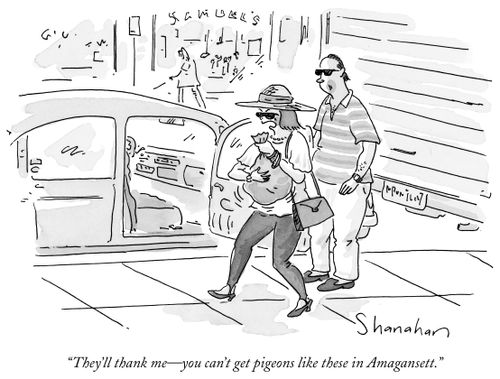 "They'll thank me – you can't get pigeons like these in Amagansett."