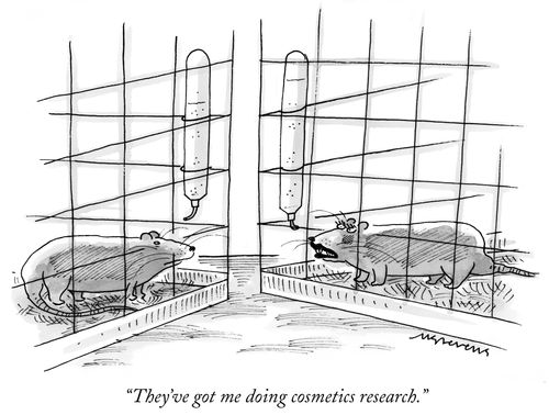 "They've got me doing cosmetics research."