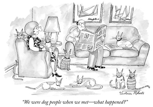 "We were dog people when we met - what happened?"