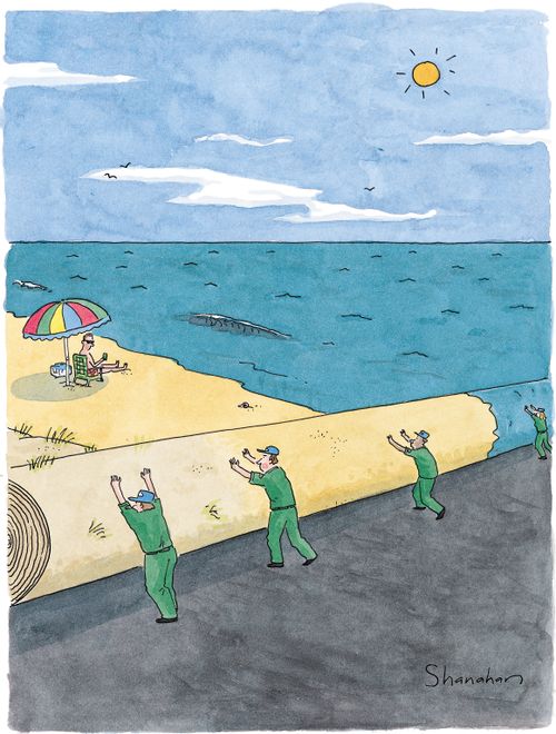 People dressed in green roll up the beach like a carpet