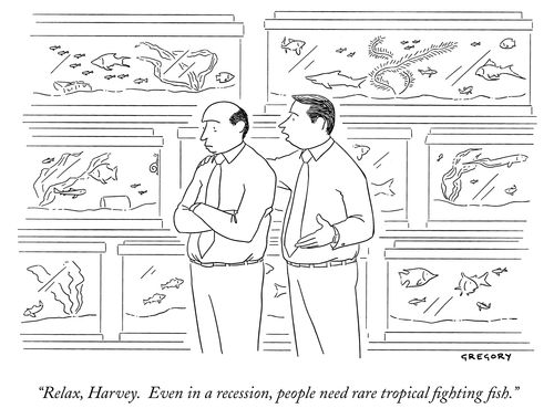 "Relax. Even in a recession, people need rare tropical fighting fish."