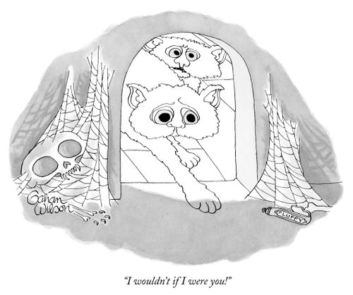 "I wouldn't if I were you!"