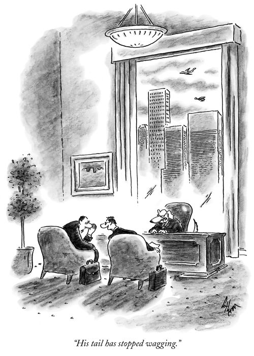 "His tail has stopped wagging."