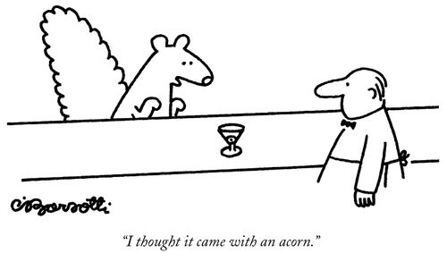 "I thought it came with an acorn."