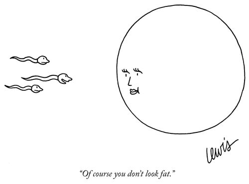 "Of course you don't look fat."
