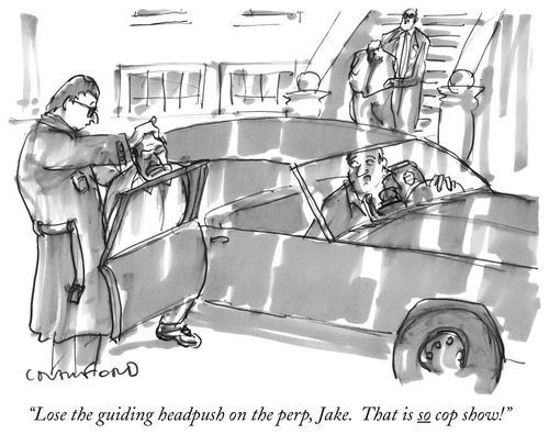 "Lose the guiding headpush on the perp, Jake. That is so cop show!"