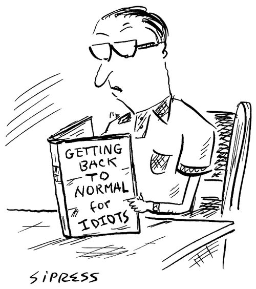 Getting Back to Normal for Idiots