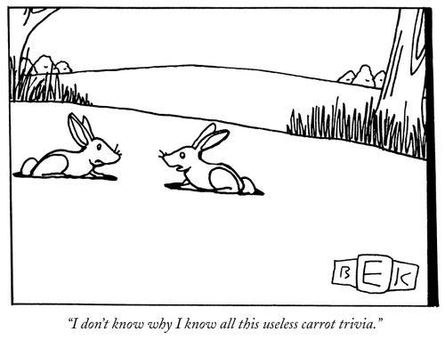 "I don't know why I know all this useless carrot trivia."