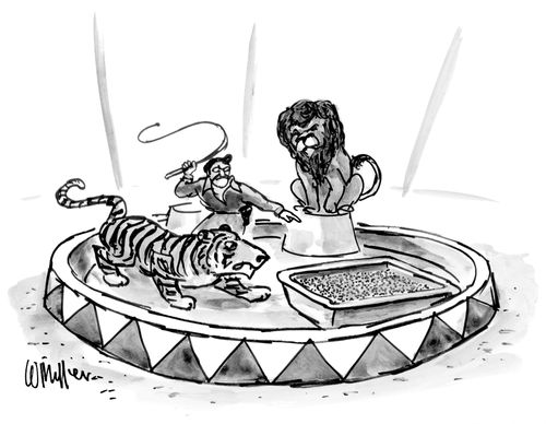 Litter Tray Training